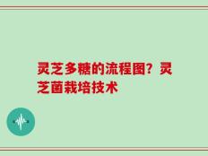 灵芝多糖的流程图？灵芝菌栽培技术