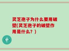 灵芝孢子为什么要用破壁(灵芝孢子的破壁作用是什么？)