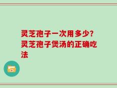 灵芝孢子一次用多少？灵芝孢子煲汤的正确吃法