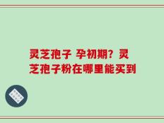 灵芝孢子 孕初期？灵芝孢子粉在哪里能买到