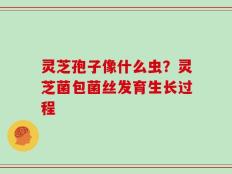 灵芝孢子像什么虫？灵芝菌包菌丝发育生长过程