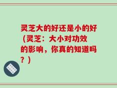 灵芝大的好还是小的好 (灵芝：大小对功效的影响，你真的知道吗？)