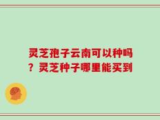灵芝孢子云南可以种吗？灵芝种子哪里能买到