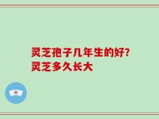 灵芝孢子几年生的好？灵芝多久长大