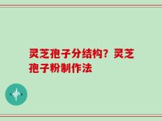 灵芝孢子分结构？灵芝孢子粉制作法