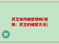 灵芝如何破壁视频(视频：灵芝的破壁方法)