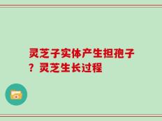 灵芝子实体产生担孢子？灵芝生长过程