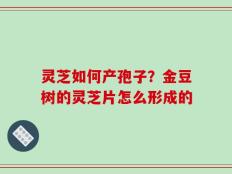 灵芝如何产孢子？金豆树的灵芝片怎么形成的