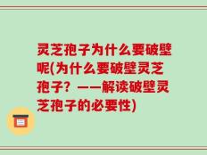 灵芝孢子为什么要破壁呢(为什么要破壁灵芝孢子？——解读破壁灵芝孢子的必要性)