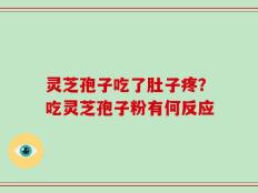 灵芝孢子吃了肚子疼？吃灵芝孢子粉有何反应
