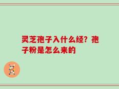 灵芝孢子入什么经？孢子粉是怎么来的