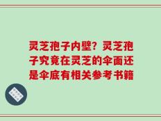 灵芝孢子内壁？灵芝孢子究竟在灵芝的伞面还是伞底有相关参考书籍