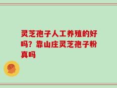 灵芝孢子人工养殖的好吗？靠山庄灵芝孢子粉真吗