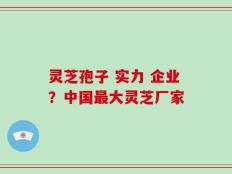 灵芝孢子 实力 企业？中国最大灵芝厂家