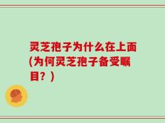 灵芝孢子为什么在上面(为何灵芝孢子备受瞩目？)