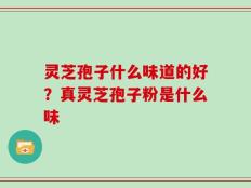 灵芝孢子什么味道的好？真灵芝孢子粉是什么味
