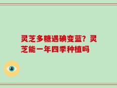 灵芝多糖遇碘变蓝？灵芝能一年四季种植吗