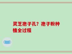 灵芝孢子孔？孢子粉种植全过程