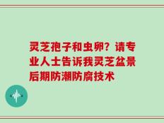 灵芝孢子和虫卵？请专业人士告诉我灵芝盆景后期防潮防腐技术