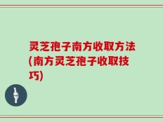 灵芝孢子南方收取方法(南方灵芝孢子收取技巧)