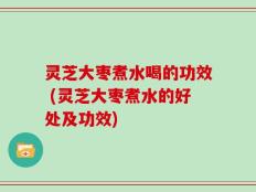 灵芝大枣煮水喝的功效 (灵芝大枣煮水的好处及功效)