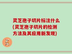灵芝孢子切片标注什么(灵芝孢子切片的检测方法及其应用新发现)