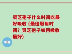 灵芝孢子什么时间吃最好吸收 (最佳服用时间？灵芝孢子如何吸收最好)