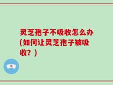 灵芝孢子不吸收怎么办(如何让灵芝孢子被吸收？)