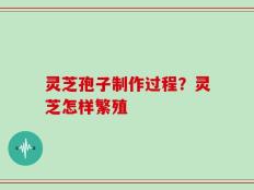 灵芝孢子制作过程？灵芝怎样繁殖