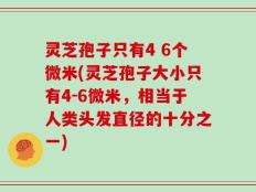 灵芝孢子只有4 6个微米(灵芝孢子大小只有4-6微米，相当于人类头发直径的十分之一)