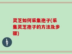 灵芝如何采集孢子(采集灵芝孢子的方法及步骤)