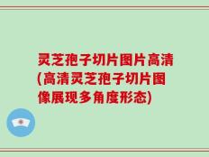 灵芝孢子切片图片高清(高清灵芝孢子切片图像展现多角度形态)