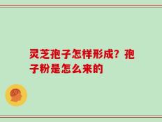 灵芝孢子怎样形成？孢子粉是怎么来的