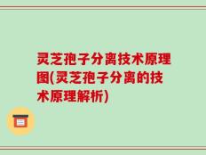 灵芝孢子分离技术原理图(灵芝孢子分离的技术原理解析)