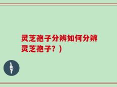 灵芝孢子分辨如何分辨灵芝孢子？)