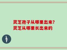 灵芝孢子从哪里出来？灵芝从哪里长出来的