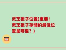灵芝孢子位置(重要！灵芝孢子存储的最佳位置是哪里？)