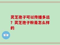 灵芝孢子可以传播多远？灵芝孢子粉是怎么样的