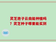 灵芝孢子云南能种植吗？灵芝种子哪里能买到