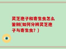 灵芝孢子和寄生虫怎么鉴别(如何分辨灵芝孢子与寄生虫？)