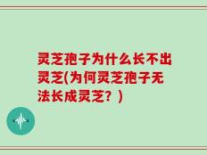 灵芝孢子为什么长不出灵芝(为何灵芝孢子无法长成灵芝？)