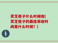 灵芝孢子什么时候收(灵芝孢子的最佳采收时间是什么时候？)