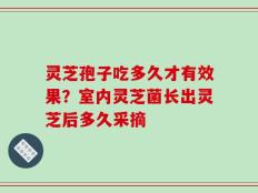 灵芝孢子吃多久才有效果？室内灵芝菌长出灵芝后多久采摘