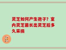 灵芝如何产生孢子？室内灵芝菌长出灵芝后多久采摘