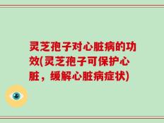 灵芝孢子对心脏病的功效(灵芝孢子可保护心脏，缓解心脏病症状)