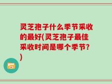 灵芝孢子什么季节采收的最好(灵芝孢子最佳采收时间是哪个季节？)