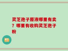 灵芝孢子原液哪里有卖？哪里有收购灵芝孢子粉