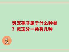 灵芝孢子属于什么种类？灵芝分一共有几种