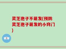 灵芝孢子不萌发(预防灵芝孢子萌发的小窍门)