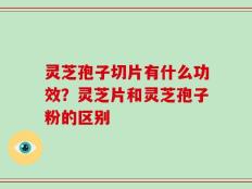 灵芝孢子切片有什么功效？灵芝片和灵芝孢子粉的区别